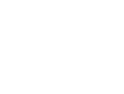 logo DUANDRA MEGASTORE icone